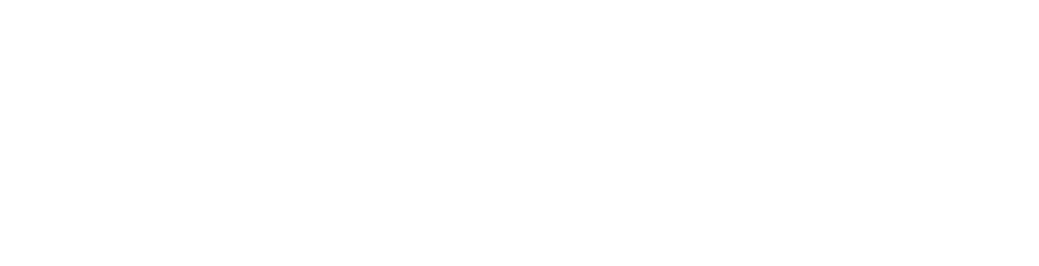 COMPANY APPEAL